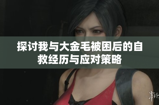 探讨我与大金毛被困后的自救经历与应对策略