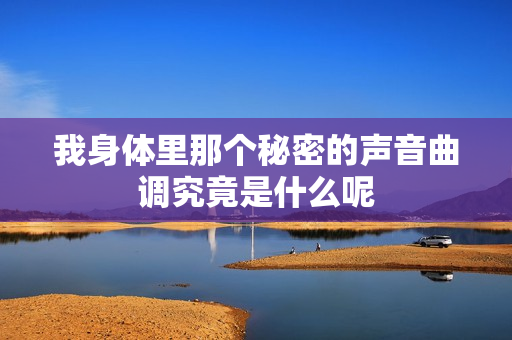 我身体里那个秘密的声音曲调究竟是什么呢