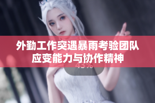 外勤工作突遇暴雨考验团队应变能力与协作精神