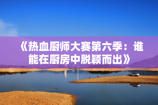《热血厨师大赛第六季：谁能在厨房中脱颖而出》