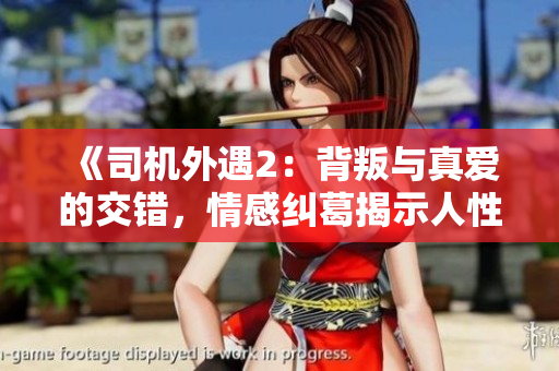 《司机外遇2：背叛与真爱的交错，情感纠葛揭示人性深处》