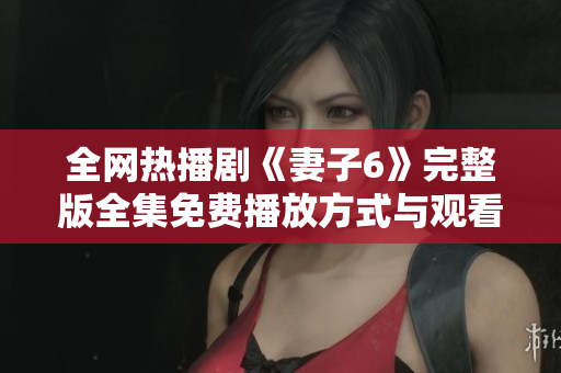 全网热播剧《妻子6》完整版全集免费播放方式与观看指南分享