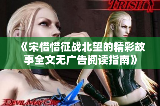 《宋惜惜征战北望的精彩故事全文无广告阅读指南》