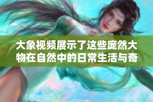 大象视频展示了这些庞然大物在自然中的日常生活与奇特行为