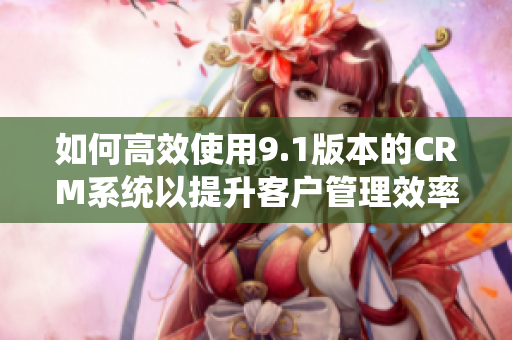如何高效使用9.1版本的CRM系统以提升客户管理效率