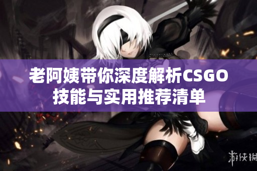老阿姨带你深度解析CSGO技能与实用推荐清单