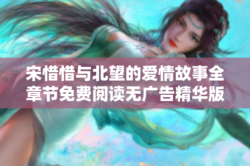 宋惜惜与北望的爱情故事全章节免费阅读无广告精华版