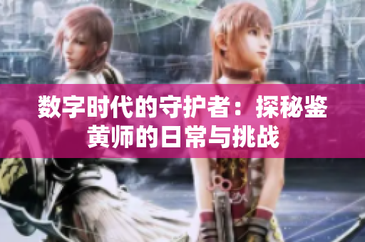 数字时代的守护者：探秘鉴黄师的日常与挑战