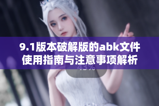 9.1版本破解版的abk文件使用指南与注意事项解析