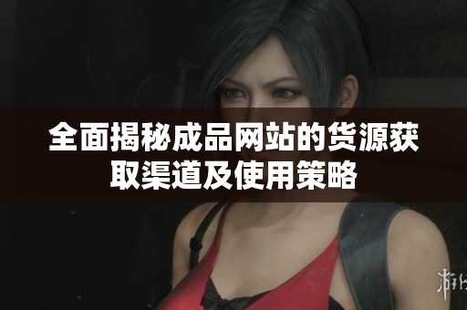 全面揭秘成品网站的货源获取渠道及使用策略