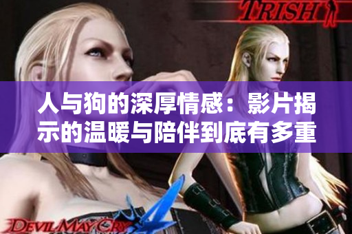人与狗的深厚情感：影片揭示的温暖与陪伴到底有多重要