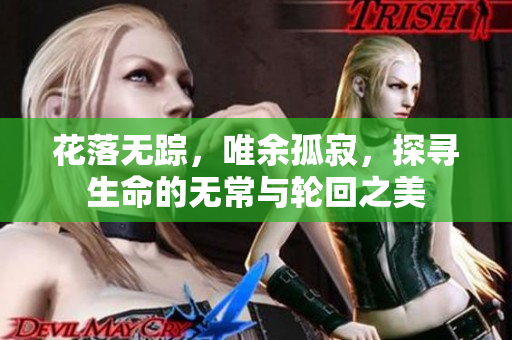 花落无踪，唯余孤寂，探寻生命的无常与轮回之美