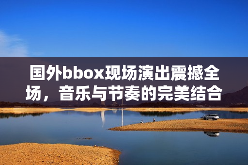 国外bbox现场演出震撼全场，音乐与节奏的完美结合让人陶醉