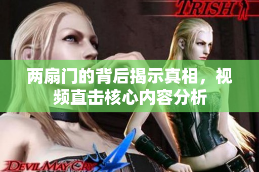 两扇门的背后揭示真相，视频直击核心内容分析