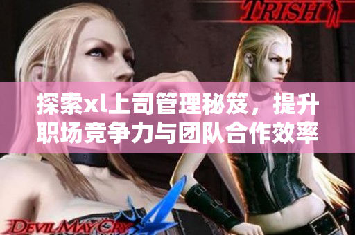探索xl上司管理秘笈，提升职场竞争力与团队合作效率