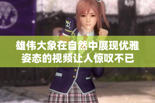 雄伟大象在自然中展现优雅姿态的视频让人惊叹不已