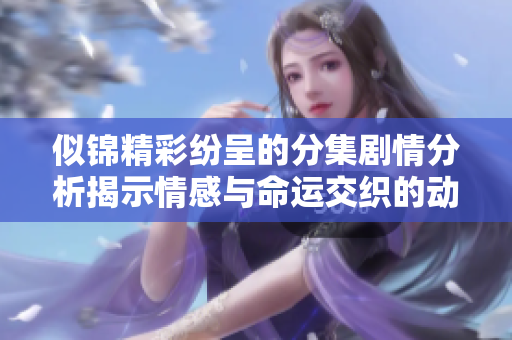 似锦精彩纷呈的分集剧情分析揭示情感与命运交织的动人故事