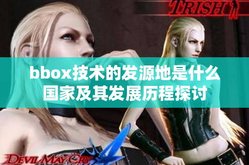 bbox技术的发源地是什么国家及其发展历程探讨