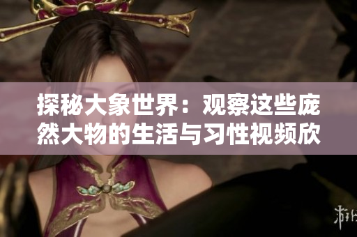 探秘大象世界：观察这些庞然大物的生活与习性视频欣赏