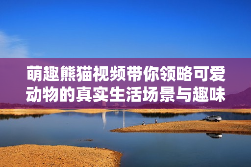 萌趣熊猫视频带你领略可爱动物的真实生活场景与趣味互动