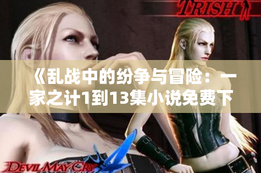 《乱战中的纷争与冒险：一家之计1到13集小说免费下载》
