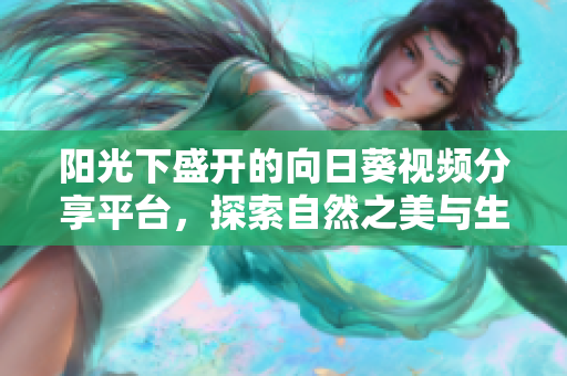 阳光下盛开的向日葵视频分享平台，探索自然之美与生机活力