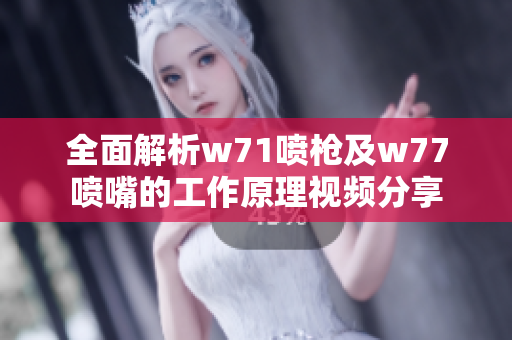 全面解析w71喷枪及w77喷嘴的工作原理视频分享