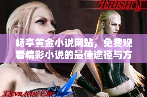 畅享黄金小说网站，免费观看精彩小说的最佳途径与方法探讨