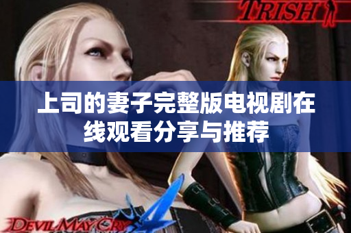 上司的妻子完整版电视剧在线观看分享与推荐