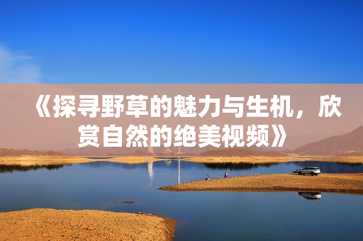 《探寻野草的魅力与生机，欣赏自然的绝美视频》