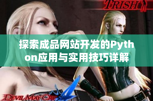 探索成品网站开发的Python应用与实用技巧详解