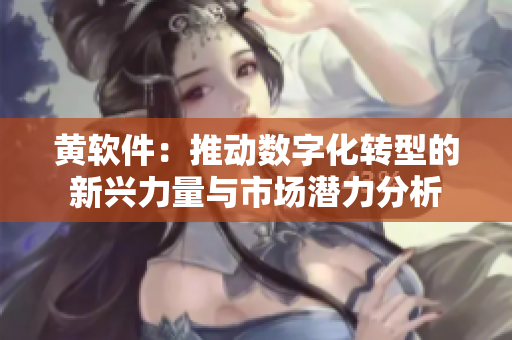 黄软件：推动数字化转型的新兴力量与市场潜力分析
