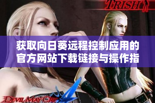 获取向日葵远程控制应用的官方网站下载链接与操作指南