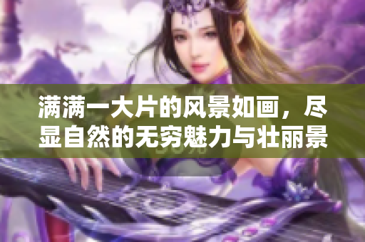 满满一大片的风景如画，尽显自然的无穷魅力与壮丽景观