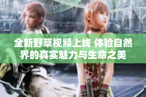 全新野草视频上线 体验自然界的真实魅力与生命之美