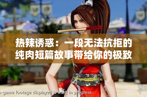 热辣诱惑：一段无法抗拒的纯肉短篇故事带给你的极致体验