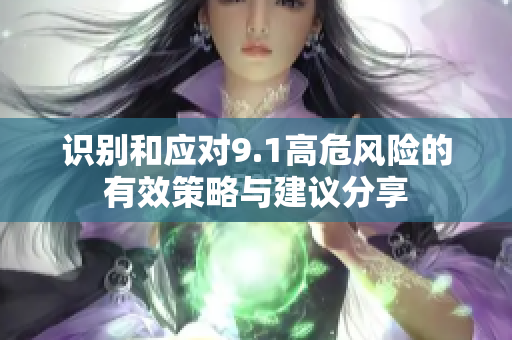 识别和应对9.1高危风险的有效策略与建议分享