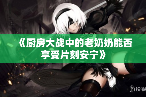 《厨房大战中的老奶奶能否享受片刻安宁》