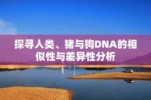 探寻人类、猪与狗DNA的相似性与差异性分析