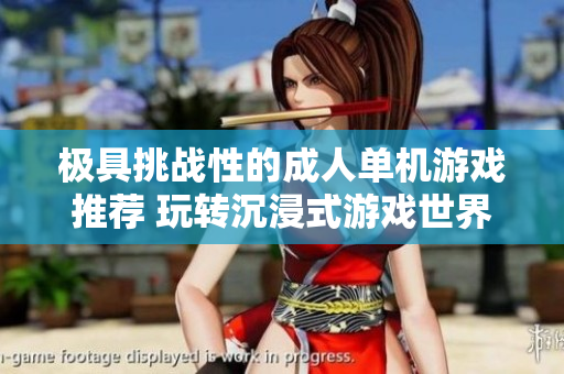 极具挑战性的成人单机游戏推荐 玩转沉浸式游戏世界