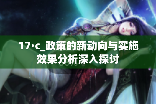 17·c_政策的新动向与实施效果分析深入探讨
