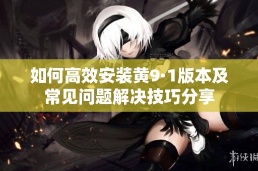如何高效安装黄9·1版本及常见问题解决技巧分享