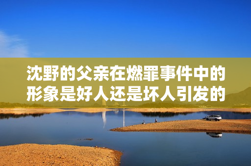 沈野的父亲在燃罪事件中的形象是好人还是坏人引发的热议