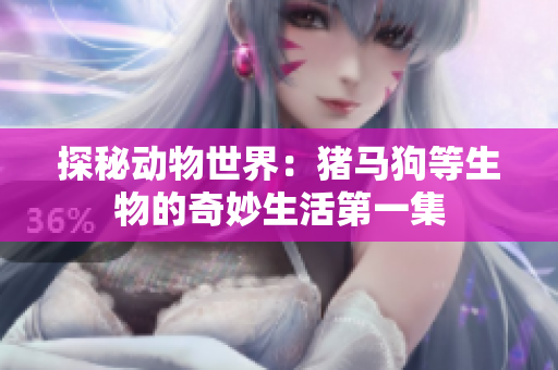 探秘动物世界：猪马狗等生物的奇妙生活第一集