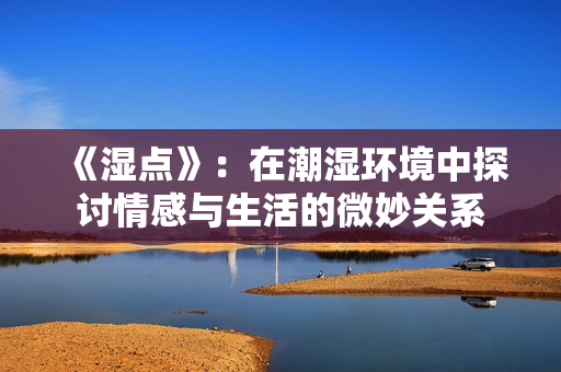 《湿点》：在潮湿环境中探讨情感与生活的微妙关系