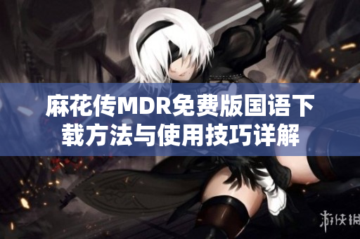麻花传MDR免费版国语下载方法与使用技巧详解
