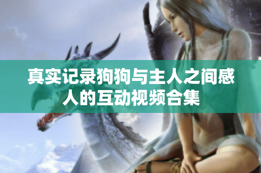 真实记录狗狗与主人之间感人的互动视频合集