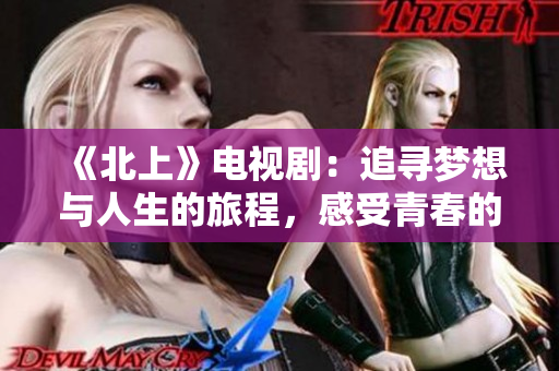 《北上》电视剧：追寻梦想与人生的旅程，感受青春的热血与坚持