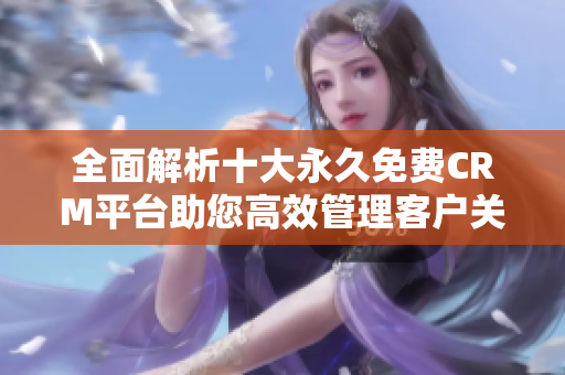 全面解析十大永久免费CRM平台助您高效管理客户关系