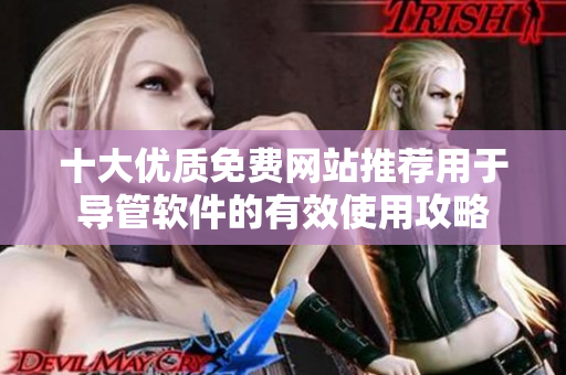 十大优质免费网站推荐用于导管软件的有效使用攻略